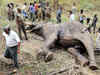 Brace for more elephant deaths as NBWL gives nod for extension of Siliguri to Sikkim track
