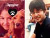 Chennai youngster creates dating app for dogs