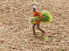 Deficient monsoon may impact outlook for both kharif and rabi crop: India Ratings