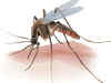 Dams contribute to one million malaria cases in Africa annually