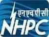 NHPC IPO success may dash HNIs' profit hopes