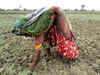 Drought not likely to shrivel India's GDP growth