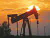 ONGC may bid for smaller fields to develop oil-gas blocks