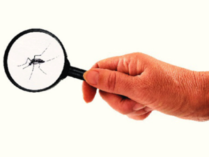 Should you go for a dengue insurance cover?