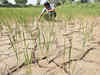 Drought situation, power crisis in Odisha man-made: Congress