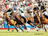 Enjoy polo? Head to Argentina to witness some sporting action