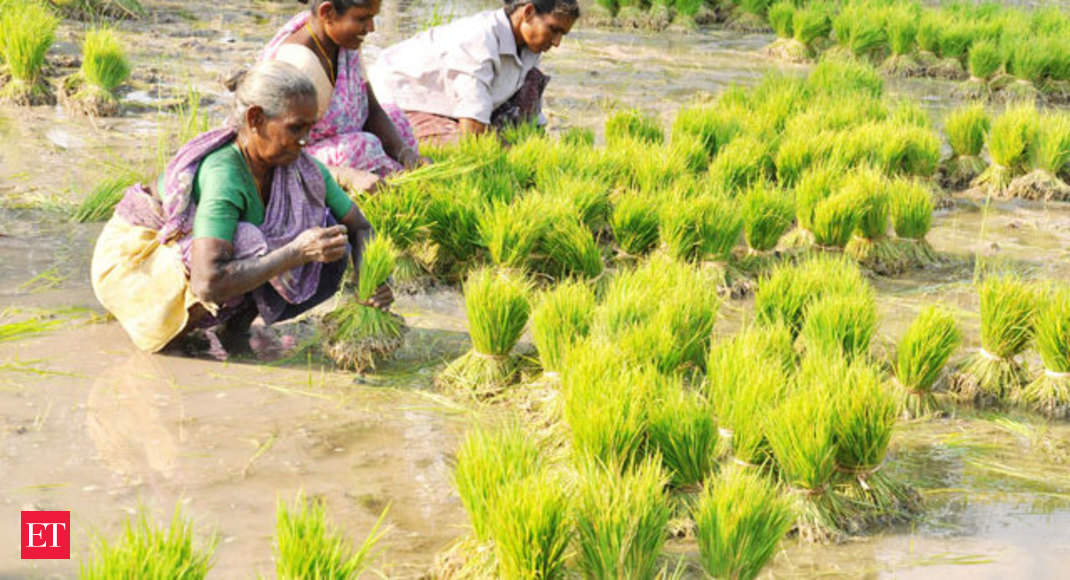 agriculture in tamil nadu essay