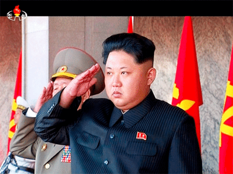 Kim Jong Un salutes during the ceremony