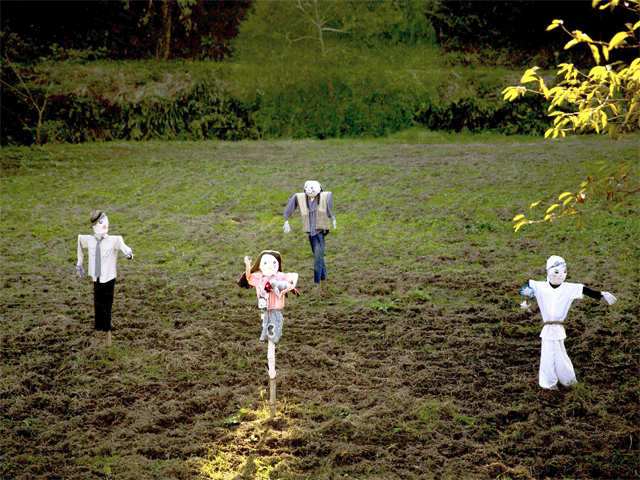 ​Scarecrows in a field at Itabu railway station