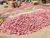 Wholesale onion prices fall below Rs 30/kg at Lasalgaon