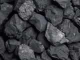 ‘Why is Maharashtra's environment department insisting port trust resume coal handling?’