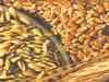Private companies plan to import wheat