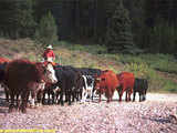 Triple Peak Cow Camp, Wyoming, USA - Live like a cowboy