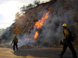 Forest Service firefighters battle wildfire