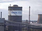 Tata Steel ropes in SSS for Odisha defence plant