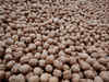 Top US walnut producer eyeing India's booming market