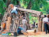 Artists resurrect dead wood in Bengaluru's Cubbon Park as sculptures