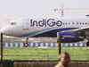 Management cheers response to IndiGo IPO