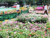 Horticulture market to come up at Sonipat at a cost of Rs 1,500 crore