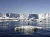 West Antarctic coastal snow rose 30 per cent in 20th century
