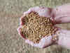Govt hikes MSP of wheat, ravi pulses: Expert’s view