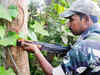 Two Maoists killed in Odisha's Sundergarh district