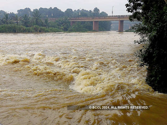 Flood water gushing in Tamiraparani river