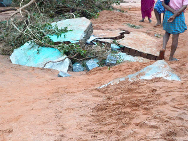 People walk past an uprooted tree