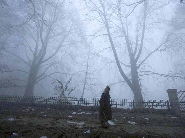 Fogg in Srinagar