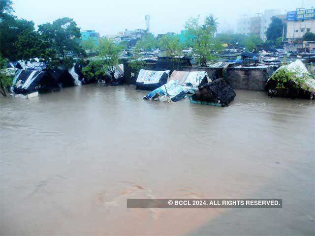 Flooded Adyar River