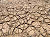 Worst drought in 40 years ruins crops