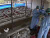 Minister appeals to poultry farmers, feed manufacturers to set up business in J&K