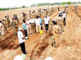 Tiruppur in TN plants 1.25 lakh saplings in 100 days to fight global warming