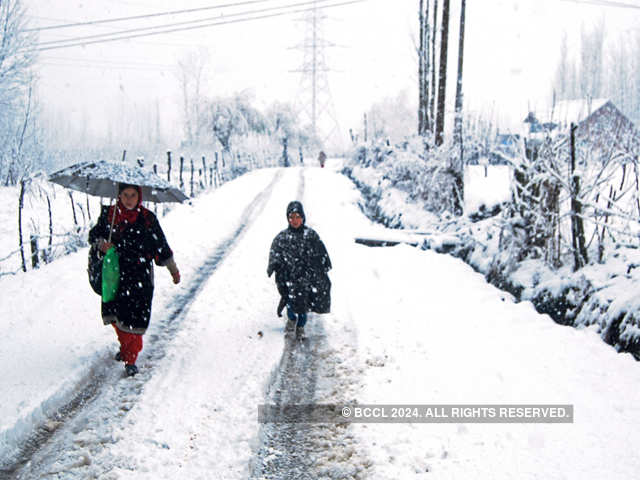 Heavy snowfall in South Kashmir