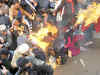 5 Congress supporters sustain injury while burning PM Narendra Modi's effigy in Shimla