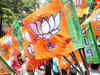 BJP to seek votes on coalition government's achievements in Jammu and Kashmir