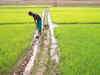 Gujarat got Rs 2,928 crore for irrigation programme in last 3 fiscals