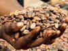 Commodity nightmare: Cocoa heading for trouble