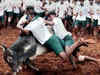 Centre allows bull-taming sport Jallikattu