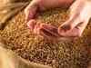 FCI eyeing Rs 10,400 crore from sale of wheat in open market