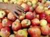 Govt relaxes apple import norms, allows shipment via more ports