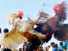 Traditional Magh Bihu buffalo and bird fights put off in Assam