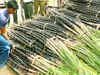 Tamil Nadu's sugarcane price hike may stay on paper this year too