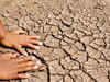 Declare suicide prone areas in Maharashtra as organic farming zones: Farm activist