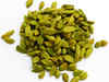 Cardamom futures remain up on good spot demand