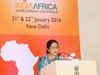 India-Africa can join hands to create oil infrastructure: Sushma Swaraj
