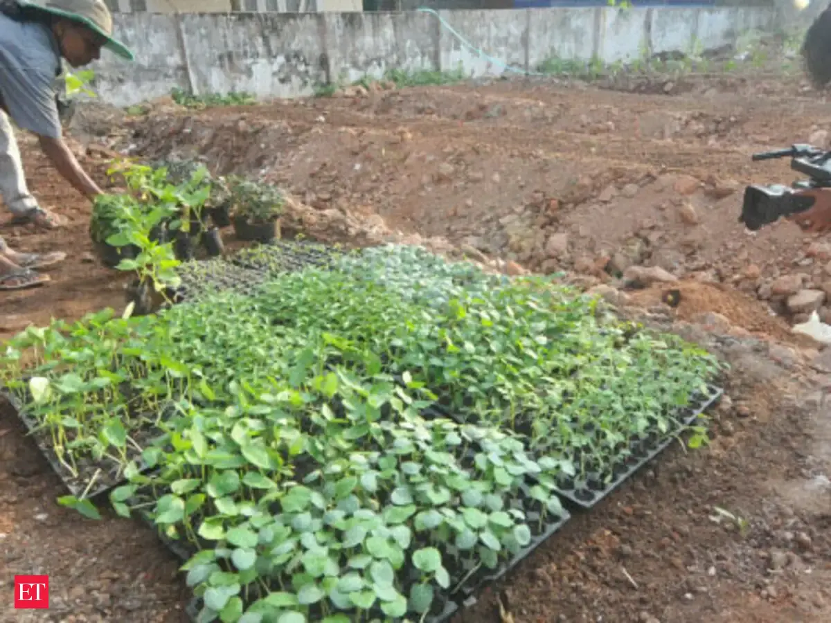 How Organic Farming And Right Prices Are Helping Kerala - 