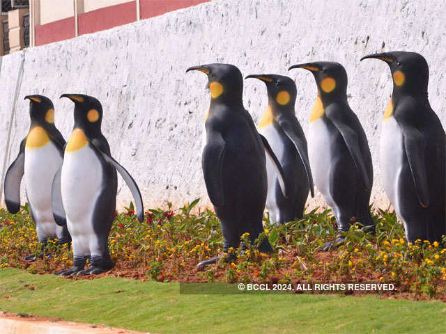 RK Beach road decorated with penguin statues