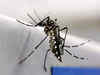 Health ministry issues guidelines to prevent Zika outbreak