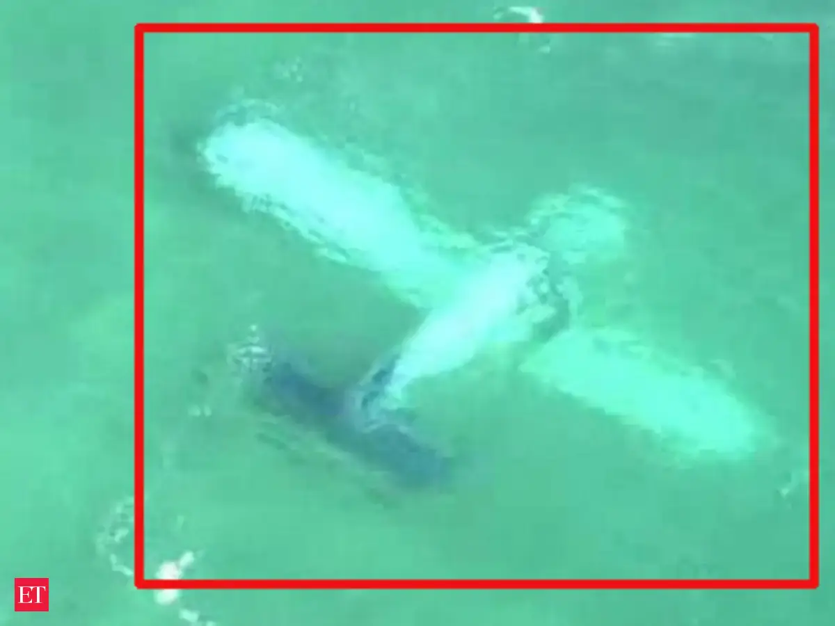 Small plane crashes into sea, no casualties reported - The Economic ...